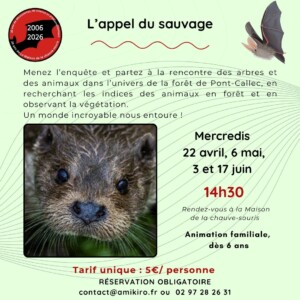 Appel du sauvage dates printemps format carré Appel Du Sauvage Dates Printemps Format Carré