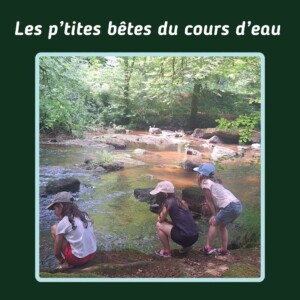 Fête Nature format carré(1) Fête Nature Format Carré(1)