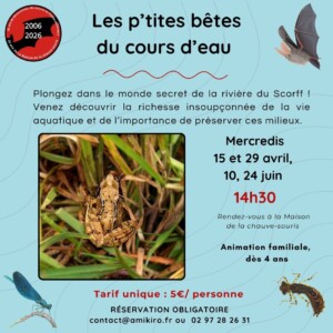 Ptites bêtes dates printemps format carré Ptites Bêtes Dates Printemps Format Carré