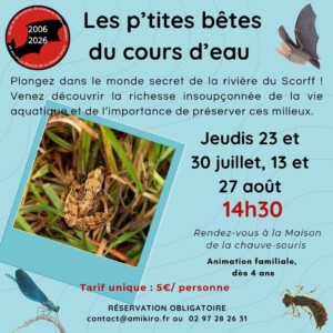 Ptites bêtes été 2026 format carré Ptites Bêtes été 2026 Format Carré