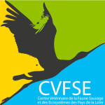 CVFSE-Oniris Cvfse Oniris