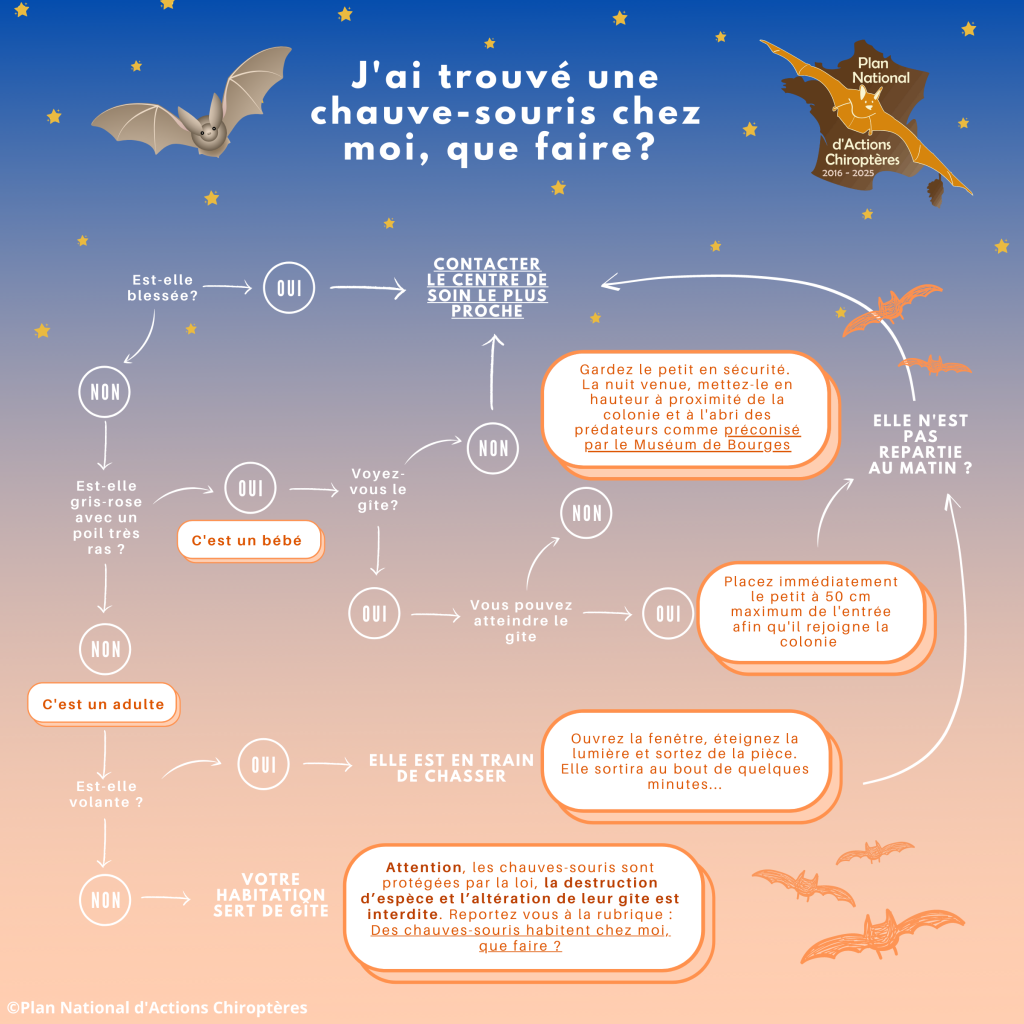 Jai-trouve-une-CS Jai Trouve Une Cs